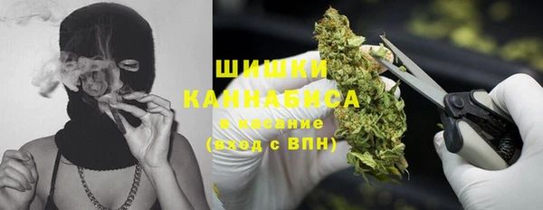 2c-b Богородск