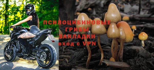 гидропоника Богородицк
